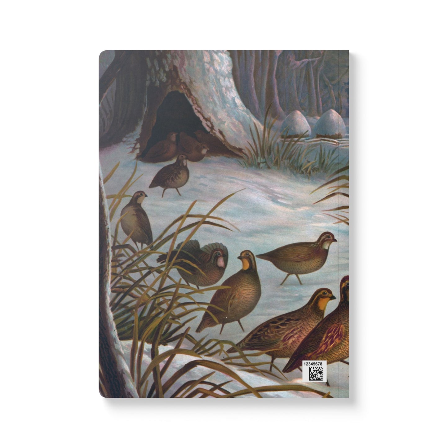 Softcover Journal - Winter birds