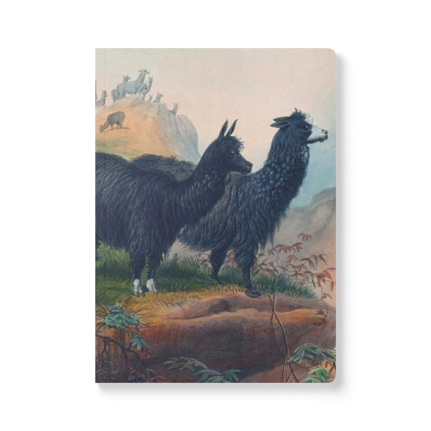 Softcover Journal - Llamas