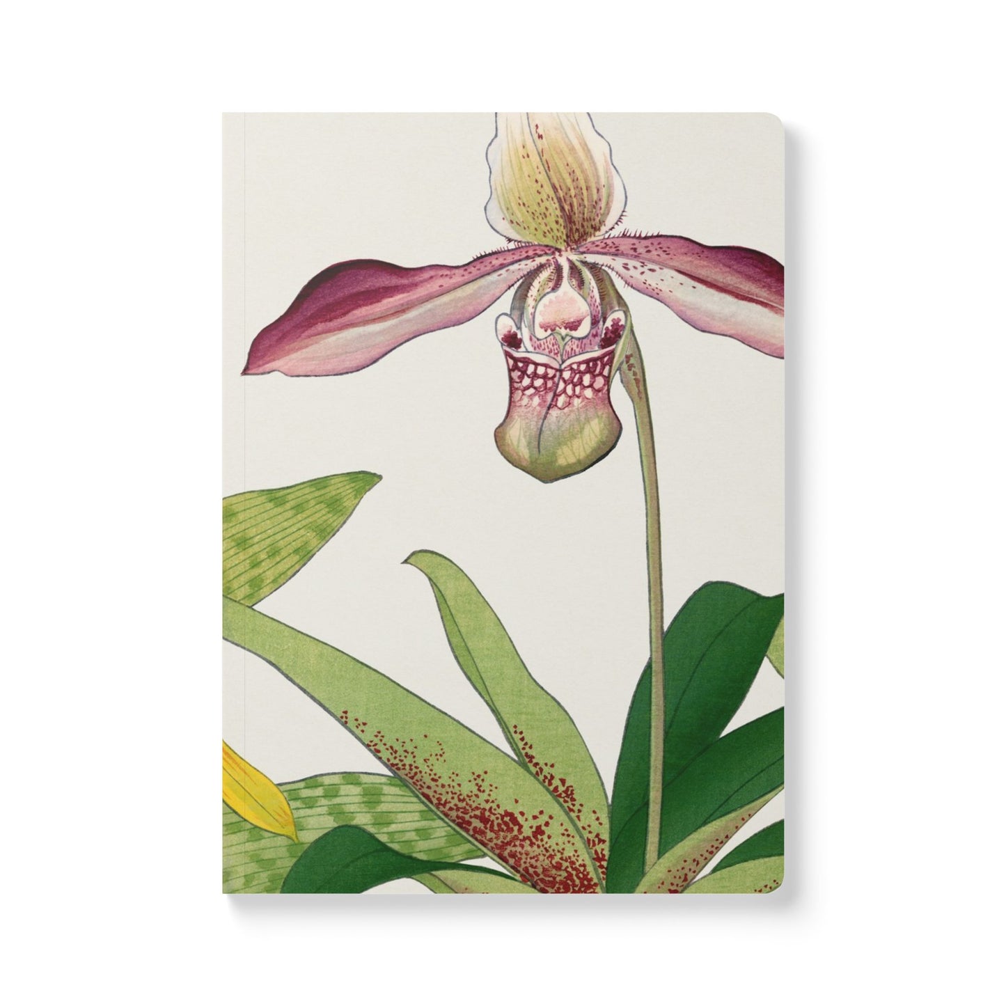 Softcover Journal - Slipper Orchid