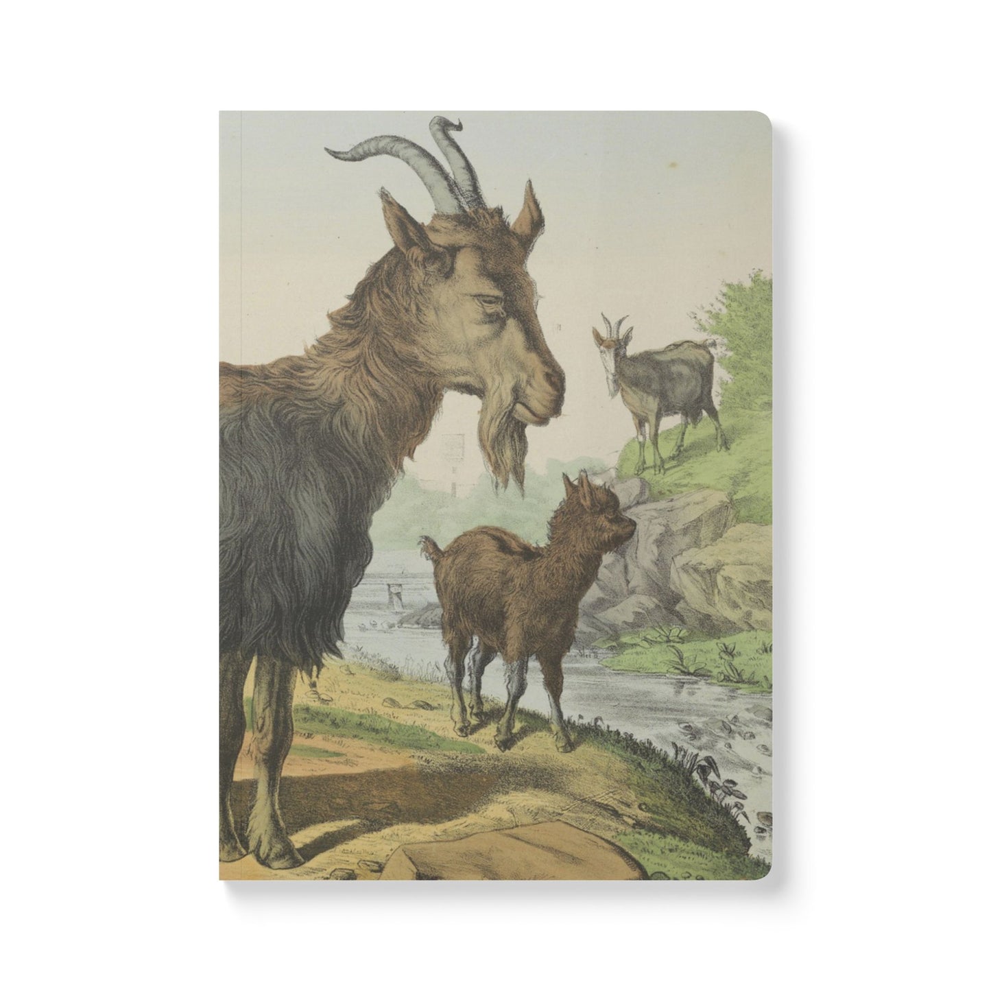 Softcover Journal - vintage goat