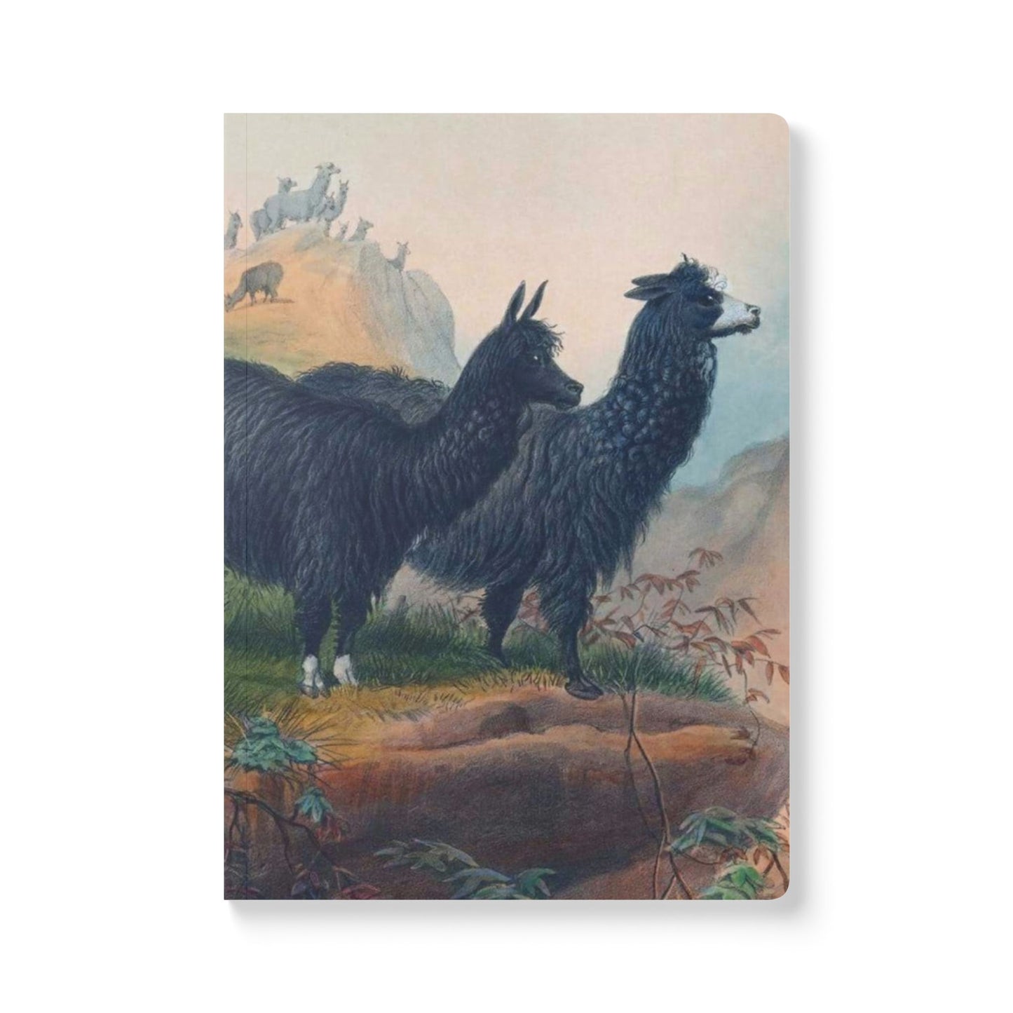 Softcover Journal - Llamas
