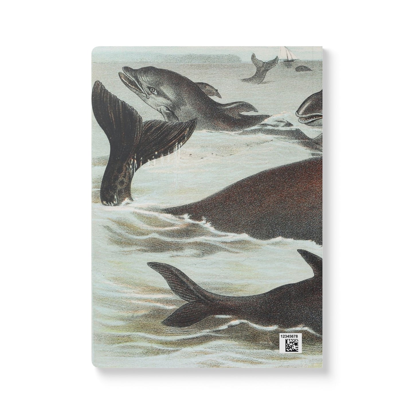 Softcover Journal - vintage whale
