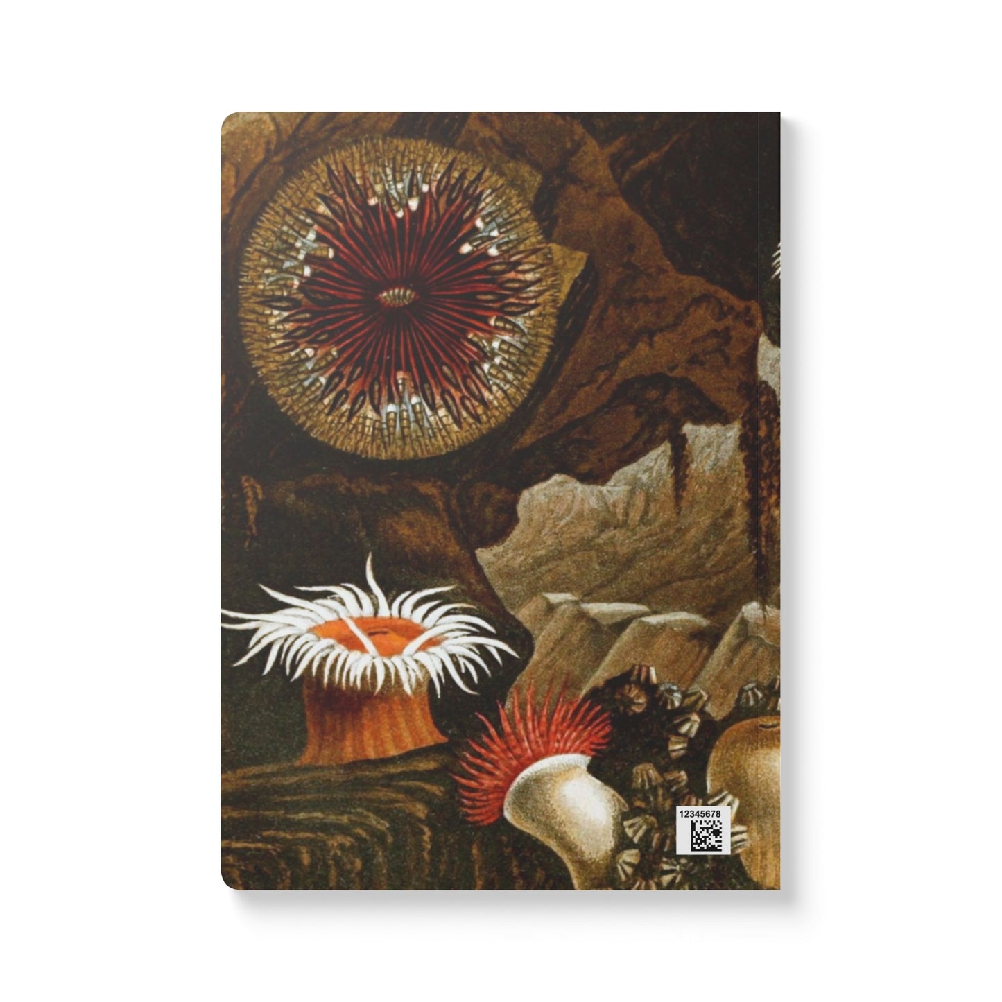 Softcover Journal - vintage sea anemones