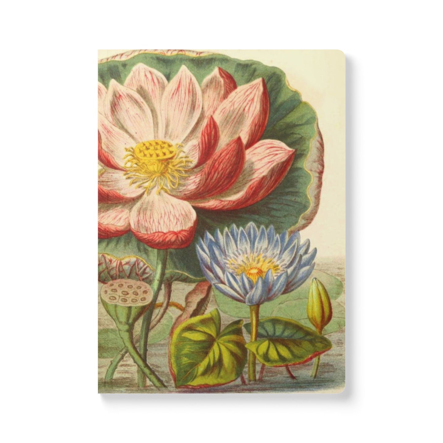 Softcover Journal - Waterlilies