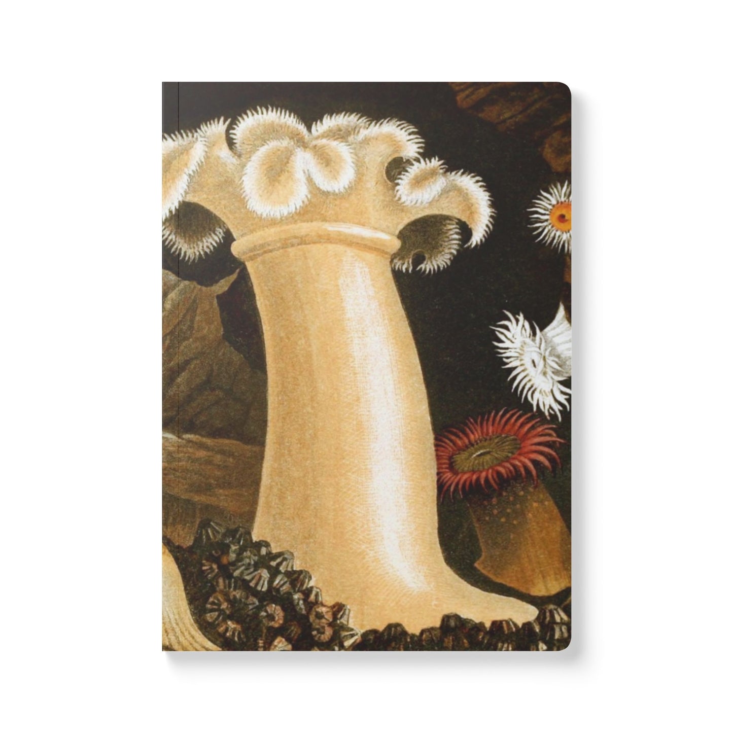 Softcover Journal - vintage sea anemones