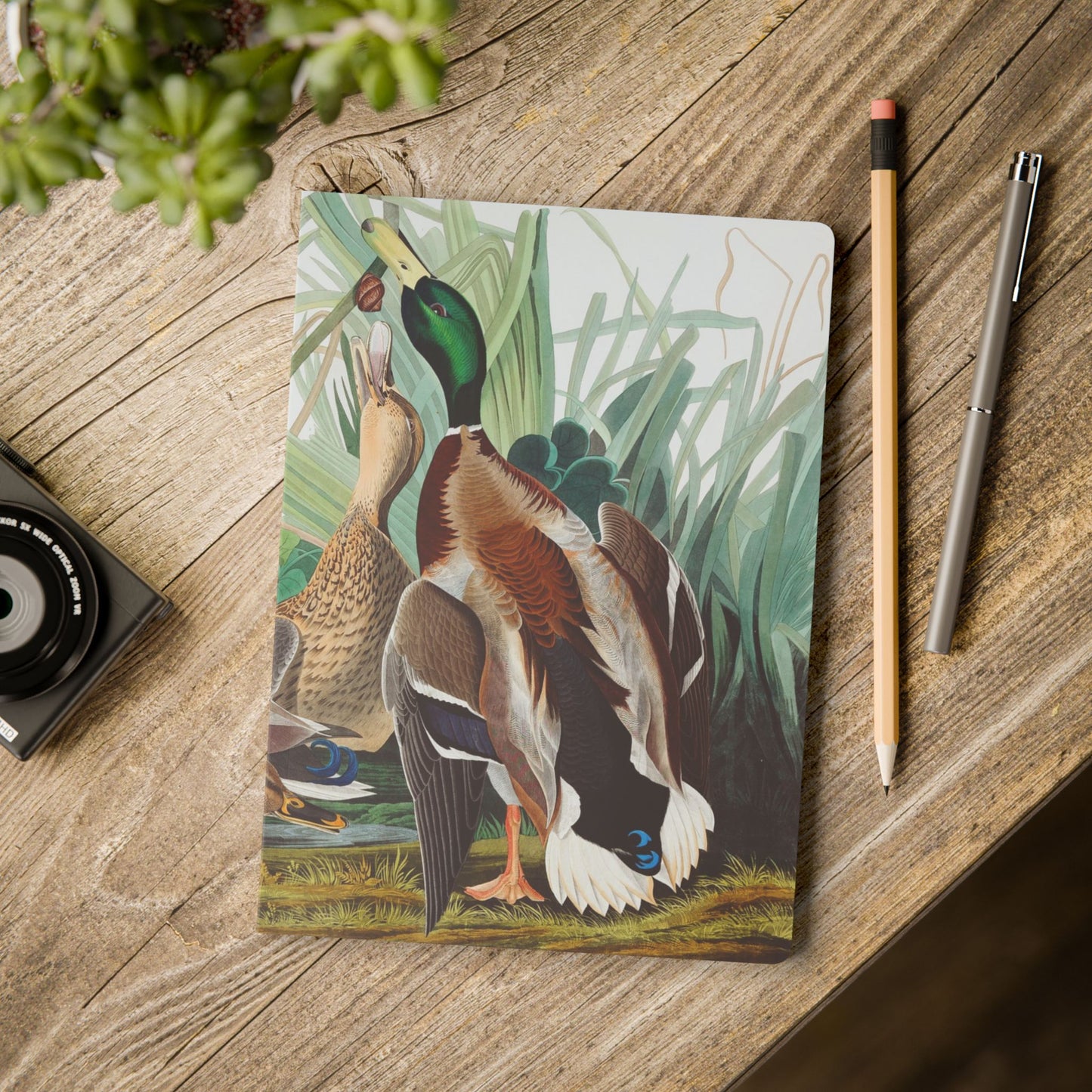Softcover Journal - Mallard Ducks