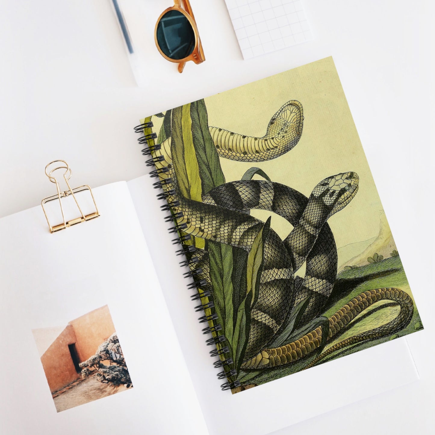 Spiral Notebook - Snakes