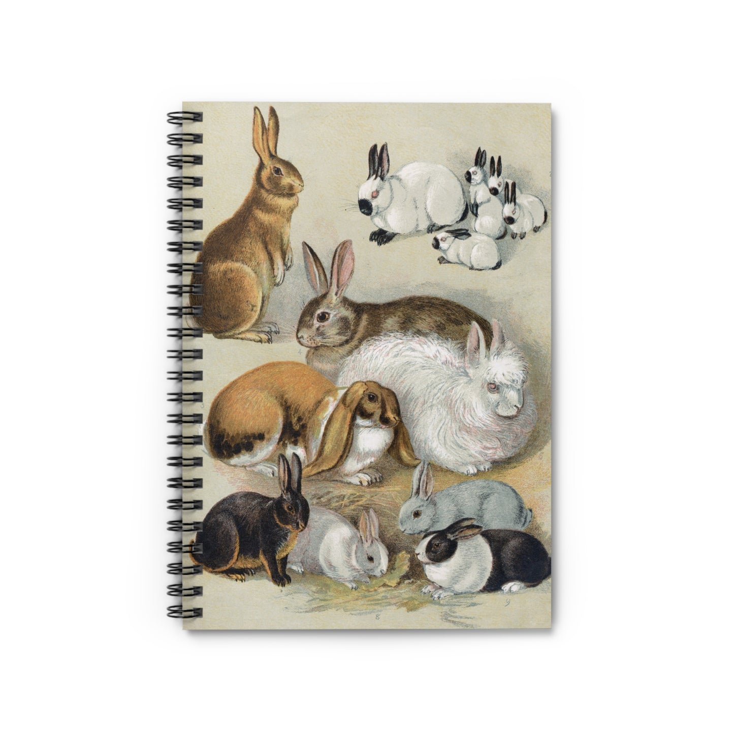 Spiral Notebook - Rabbits