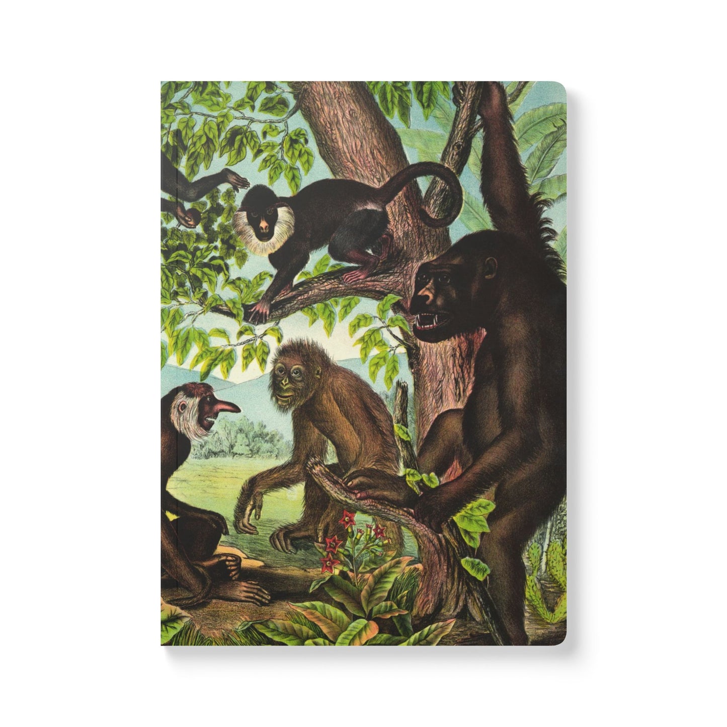 Softcover Journal - vintage monkey
