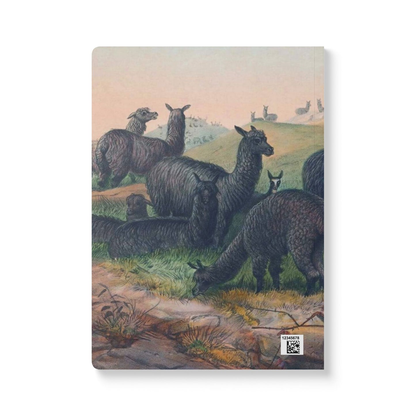 Softcover Journal - Llamas