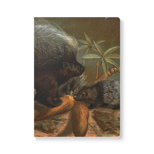 Softcover Journal - vintage porcupine