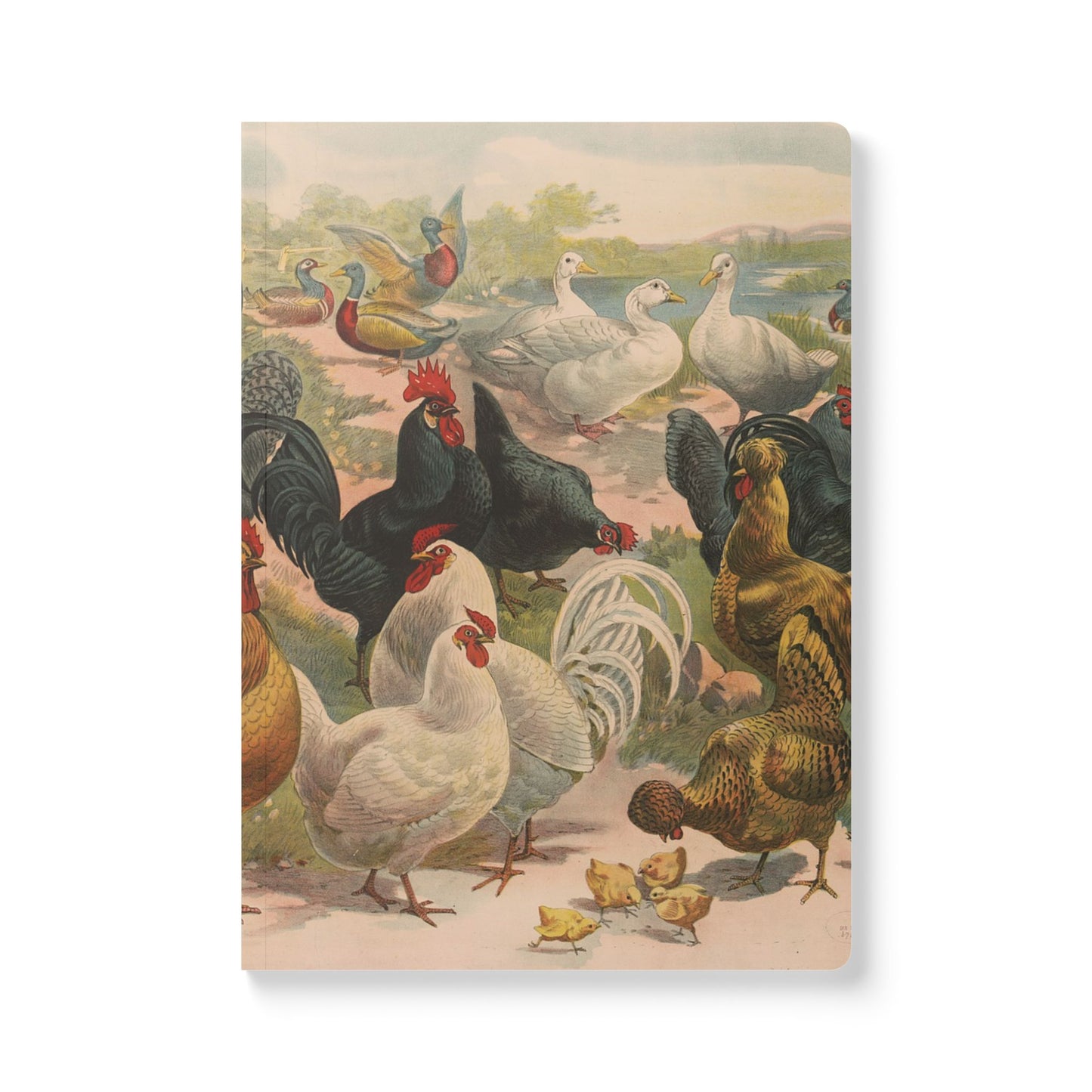 Softcover Journal - Farm Birds