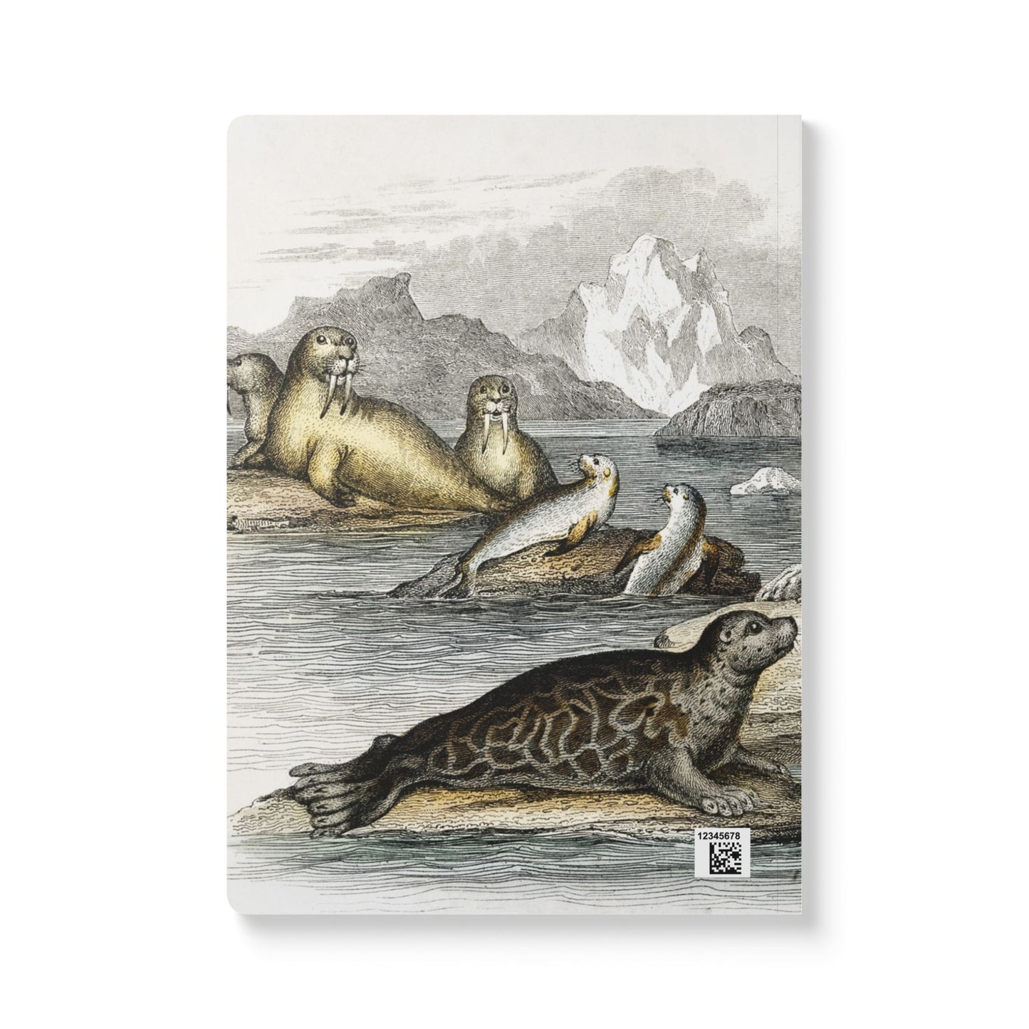 Softcover Journal - Boats and Seals