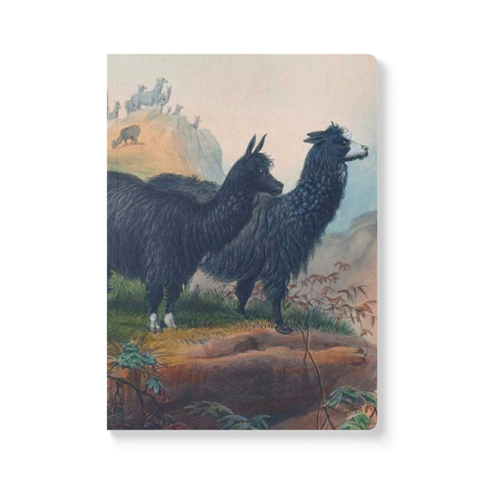 Softcover Journal - Llamas