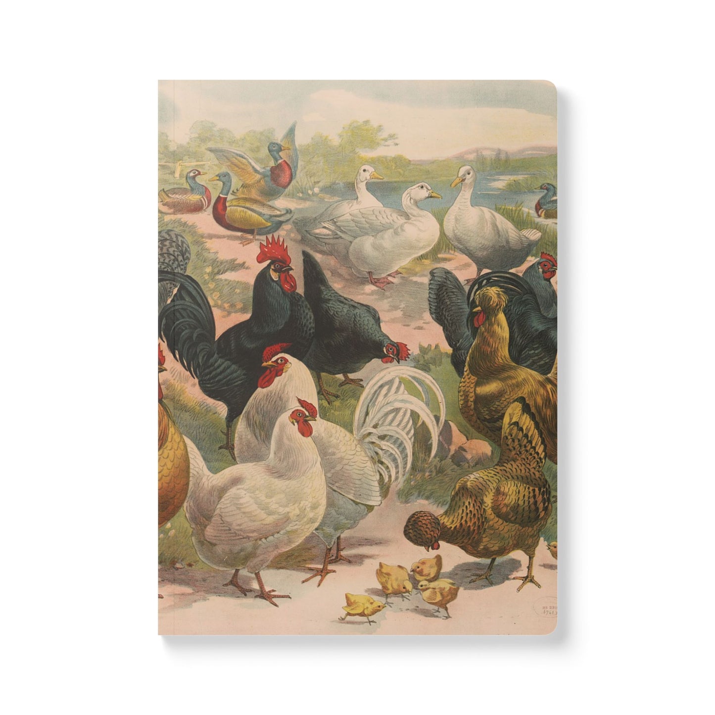 Softcover Journal - Farm Birds
