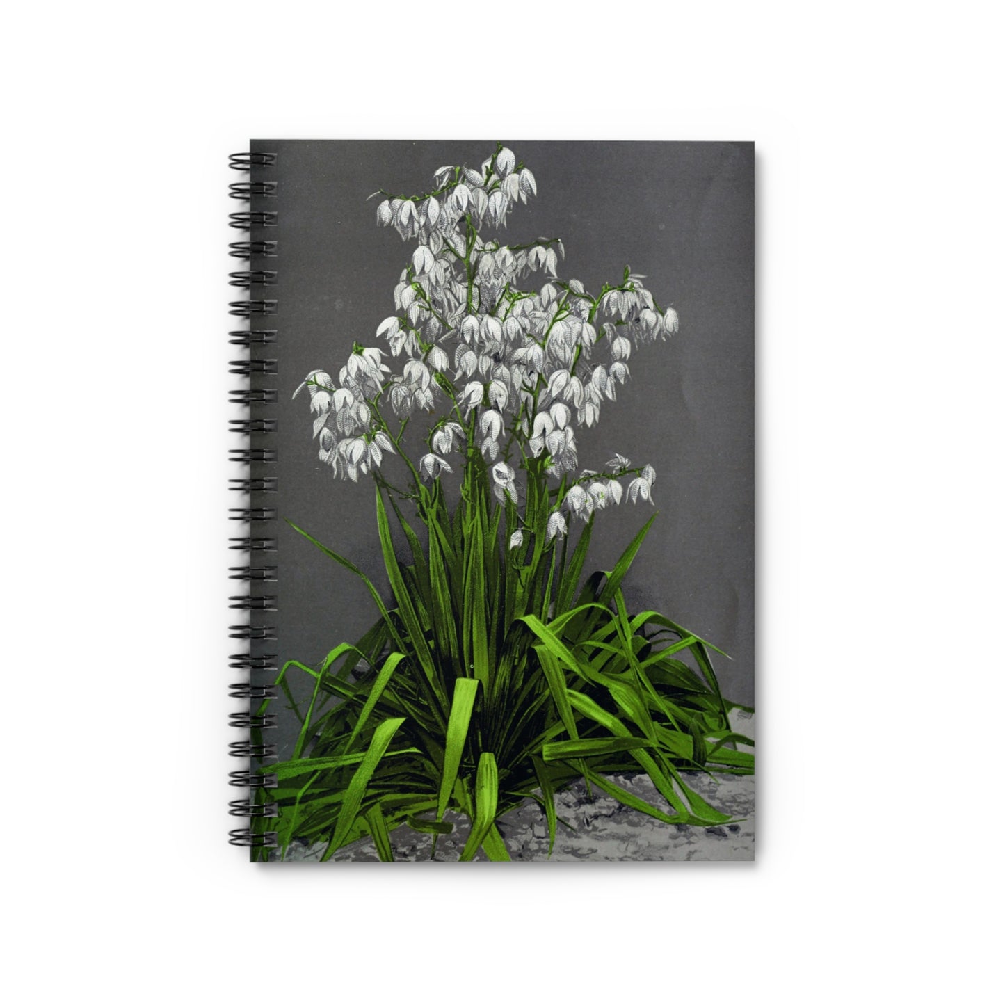 Spiral Notebook - Yucca plant