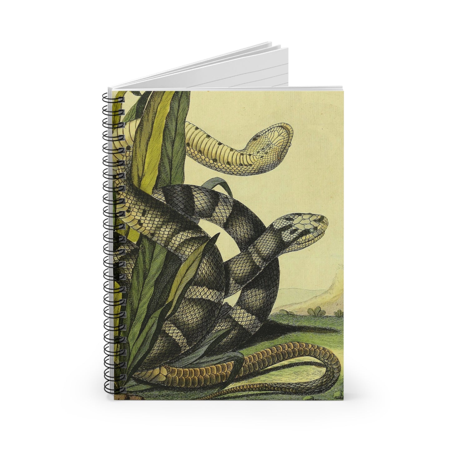 snake year of the snake chinese new year 2025 notebook journal spiral lined paper journaling note reptile vintage illustration 
