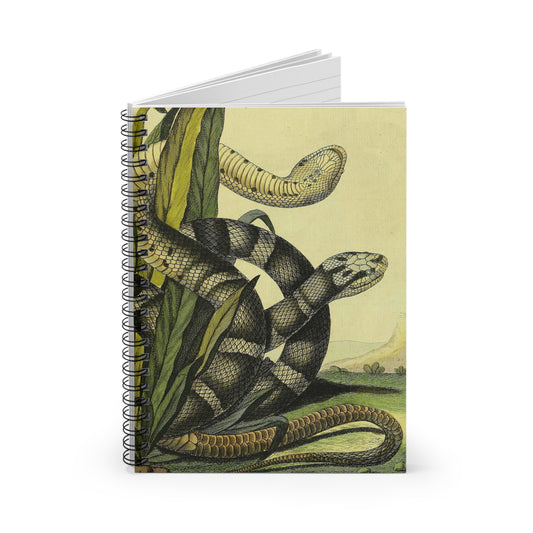 snake year of the snake chinese new year 2025 notebook journal spiral lined paper journaling note reptile vintage illustration 