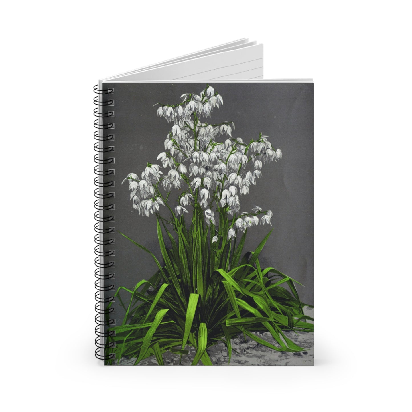 Spiral Notebook - Yucca plant