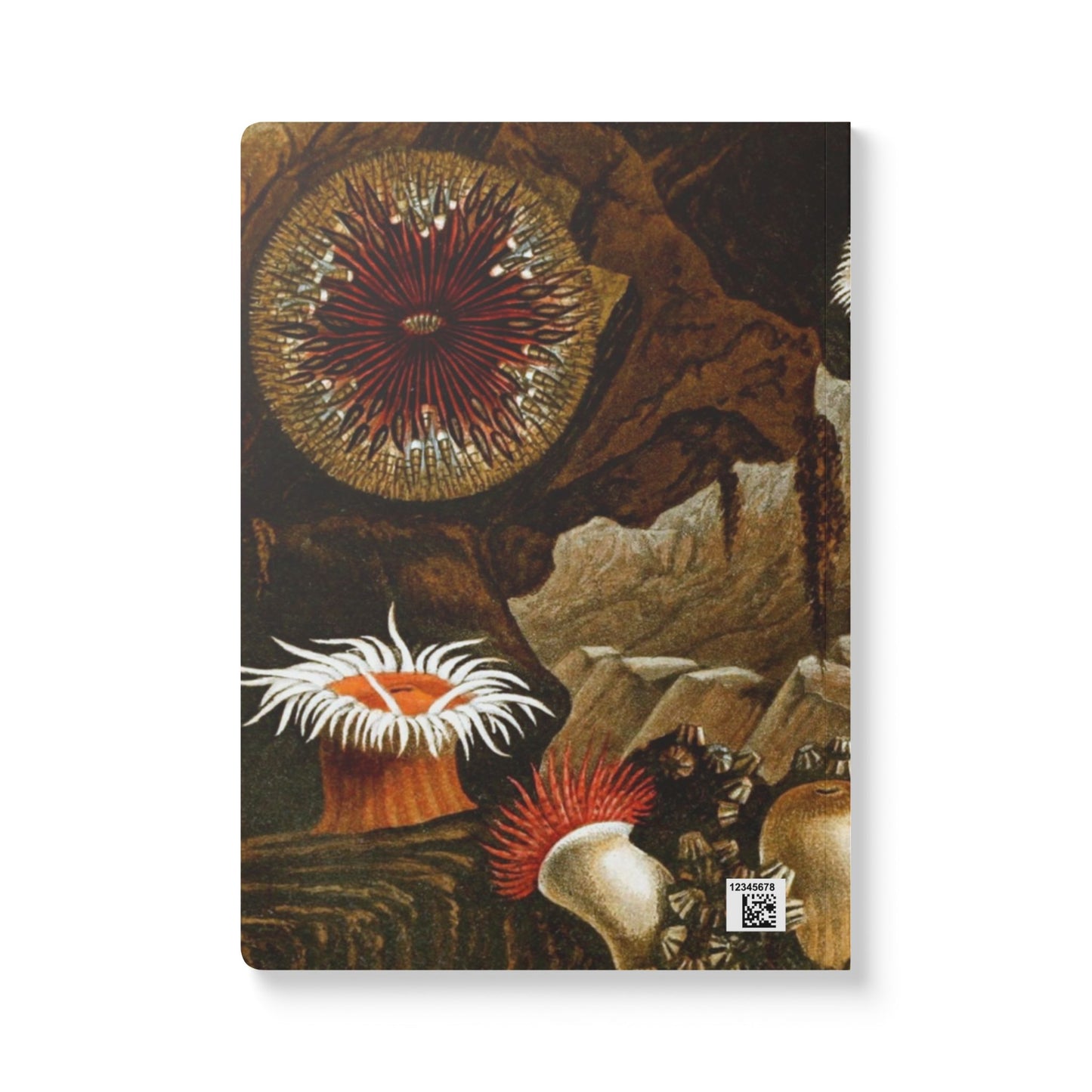 Softcover Journal - vintage sea anemones