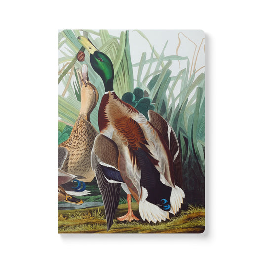 Softcover Journal - Mallard Ducks