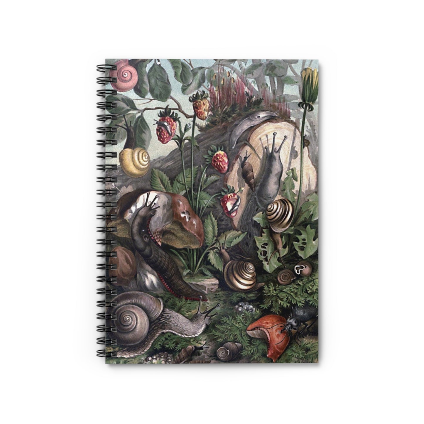 Spiral Notebook - Snails
