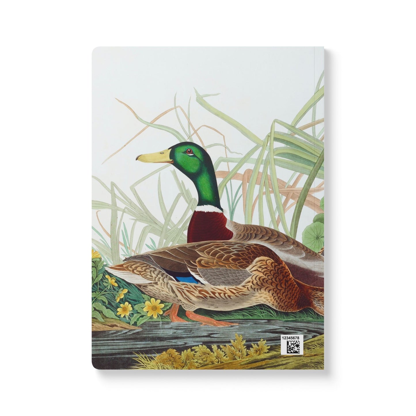 Softcover Journal - Mallard Ducks