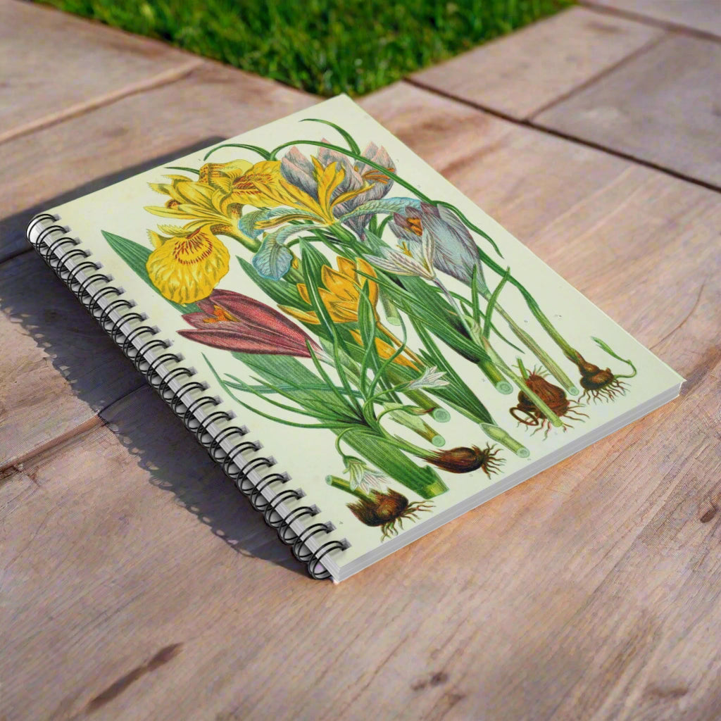 notebook journal story vintage design illustration painting journal journaling taking notes office organize
spring flowers bulbs iris crocus summer garden