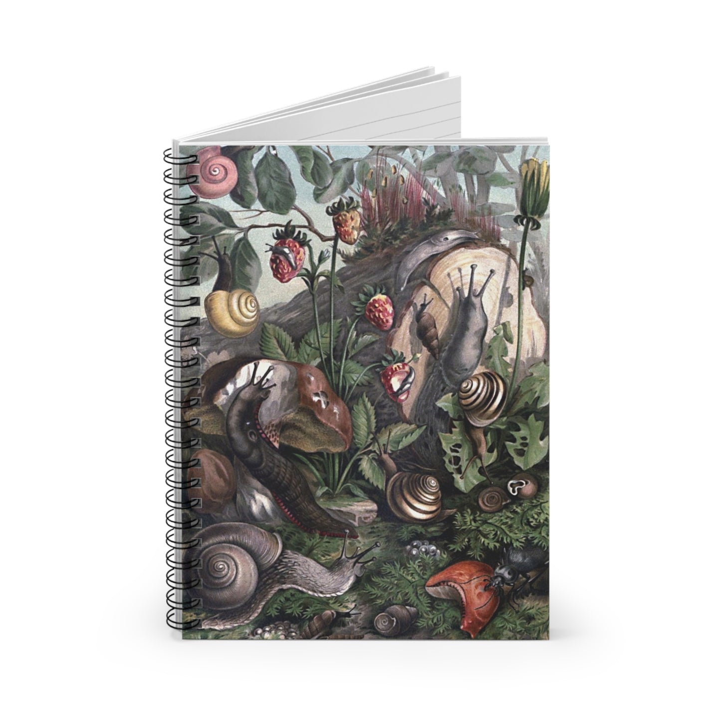 Spiral Notebook - Snails