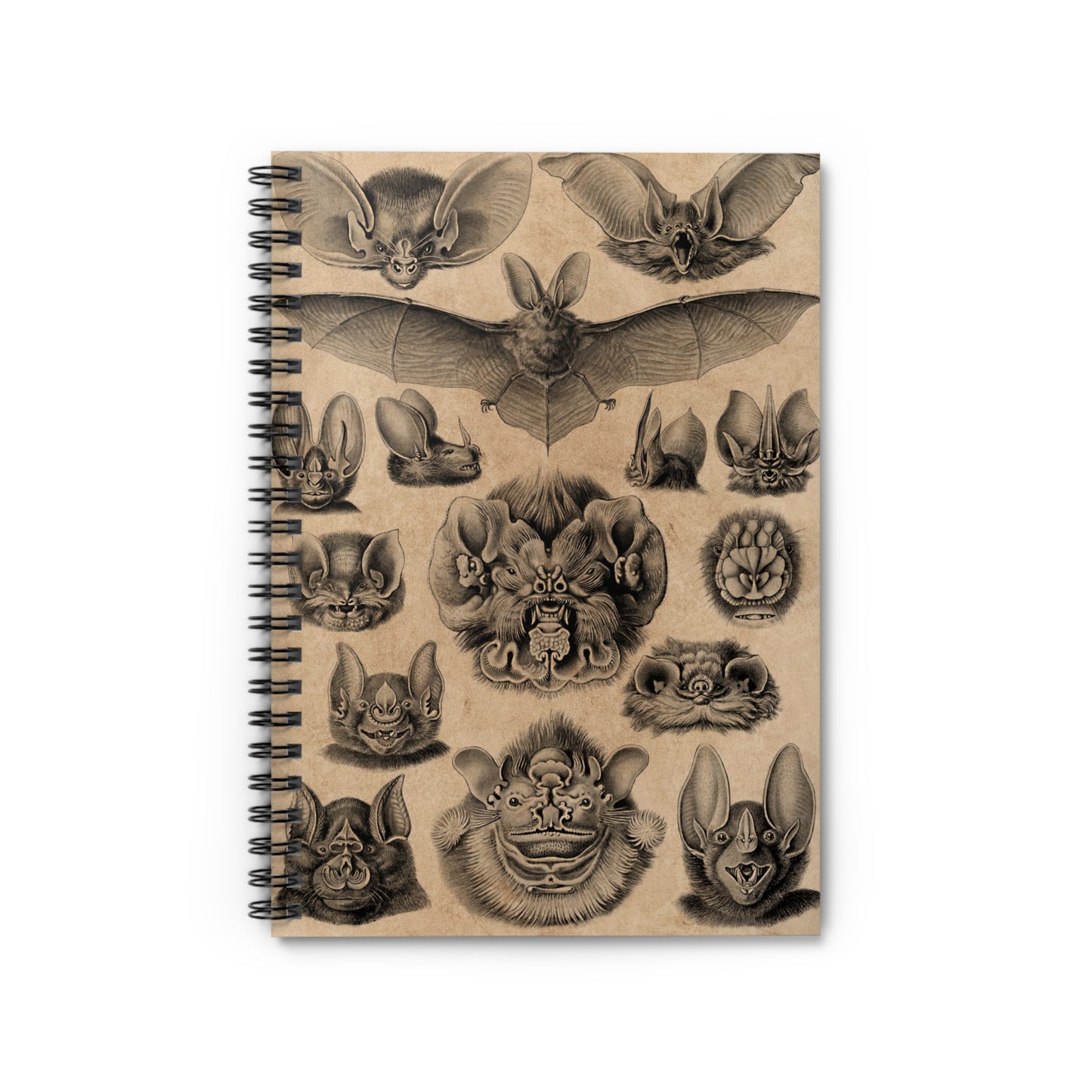 Spiral Notebook - Bat faces