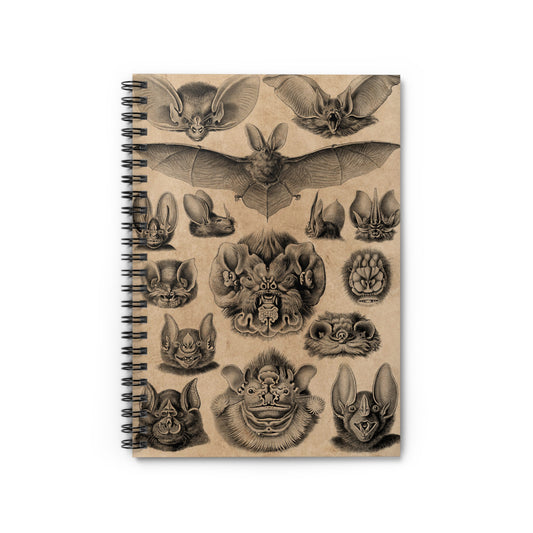 Spiral Notebook - Bat faces