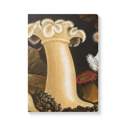 Softcover Journal - vintage sea anemones
