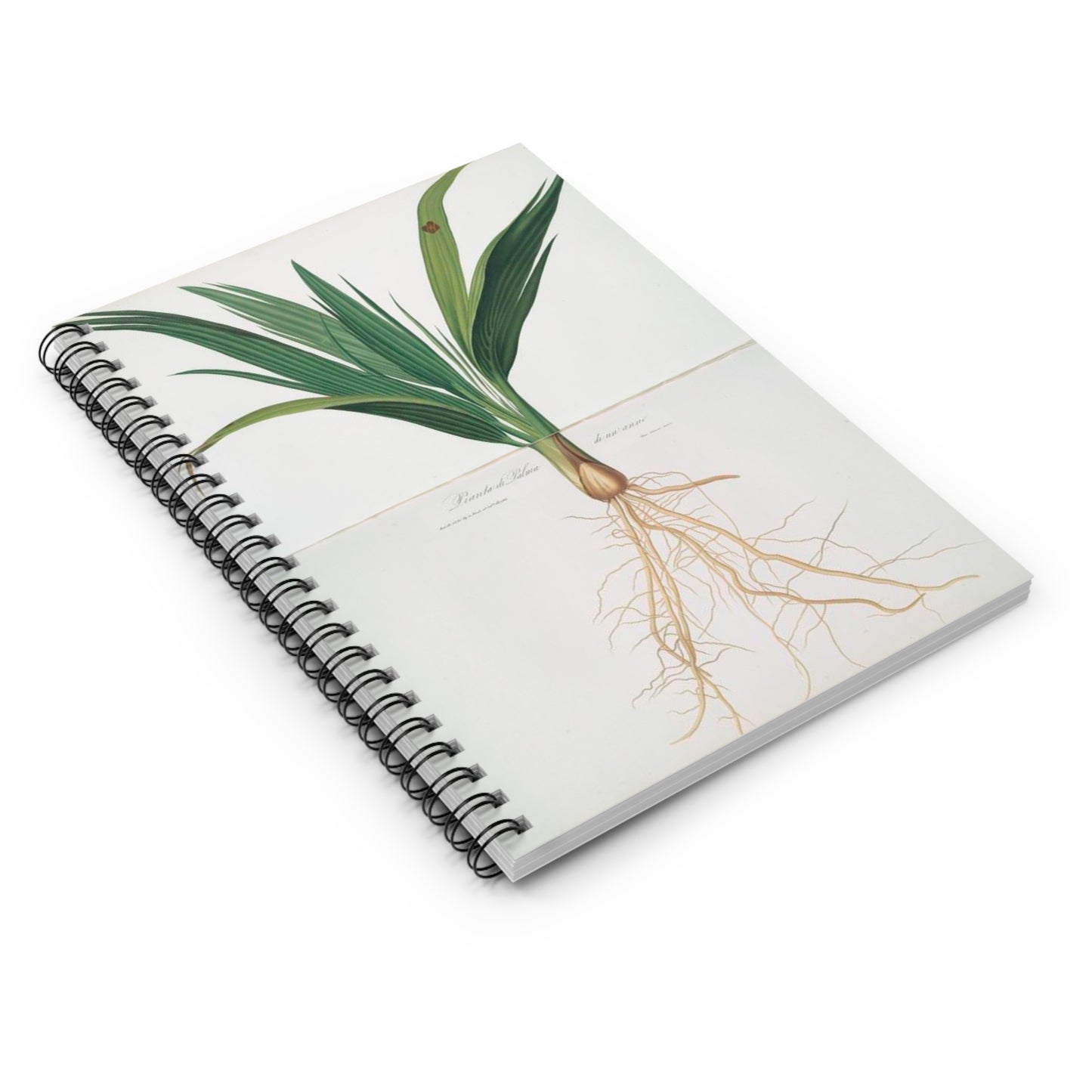 Spiral Notebook - Roots