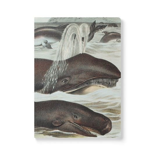 Softcover Journal - vintage whale