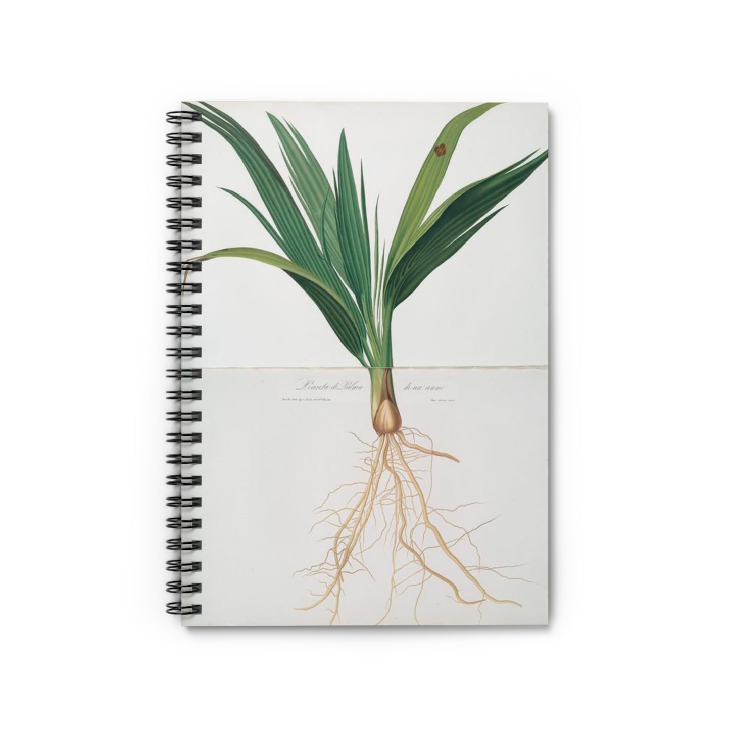 Spiral Notebook - Roots