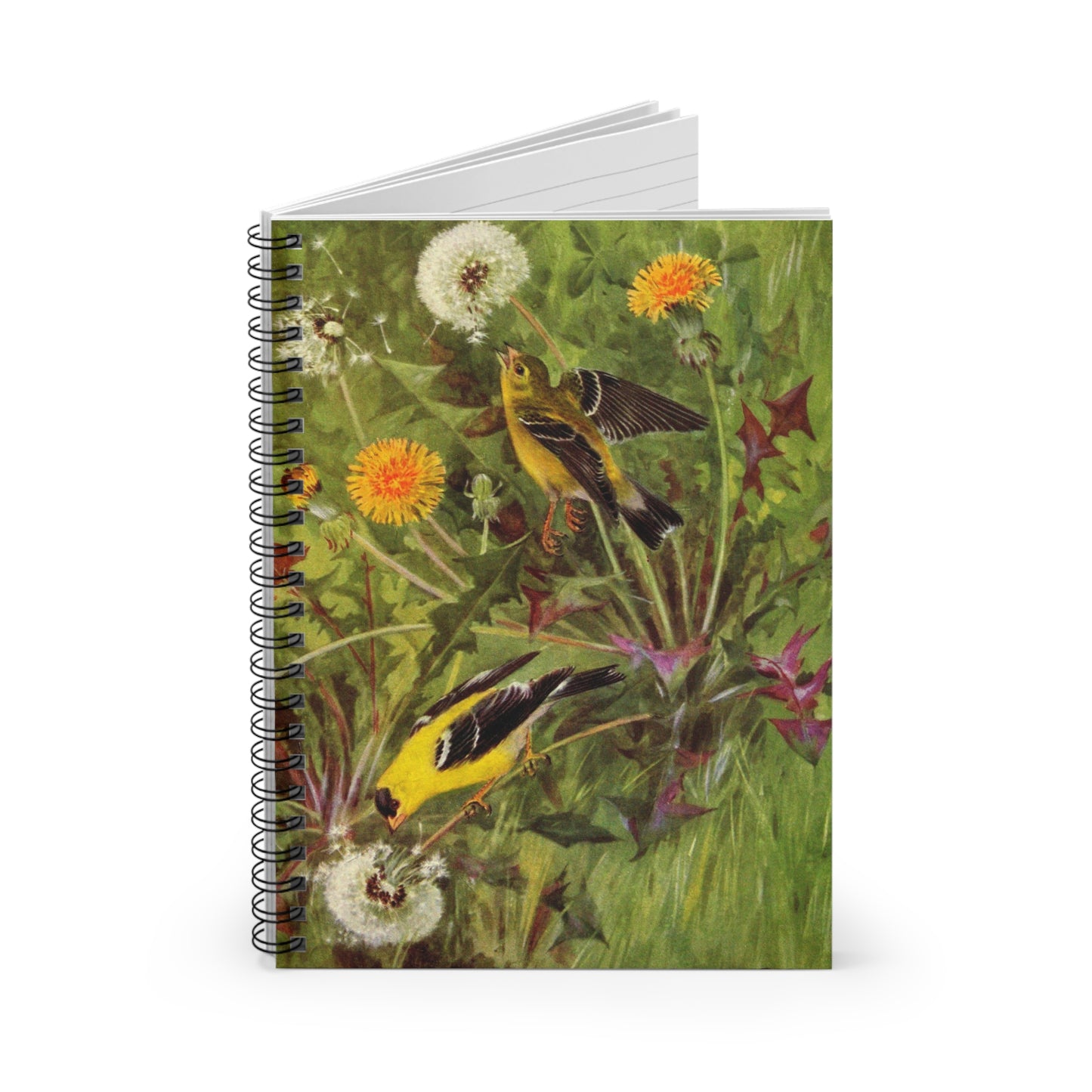 Spiral Notebook - Finches and dandelions