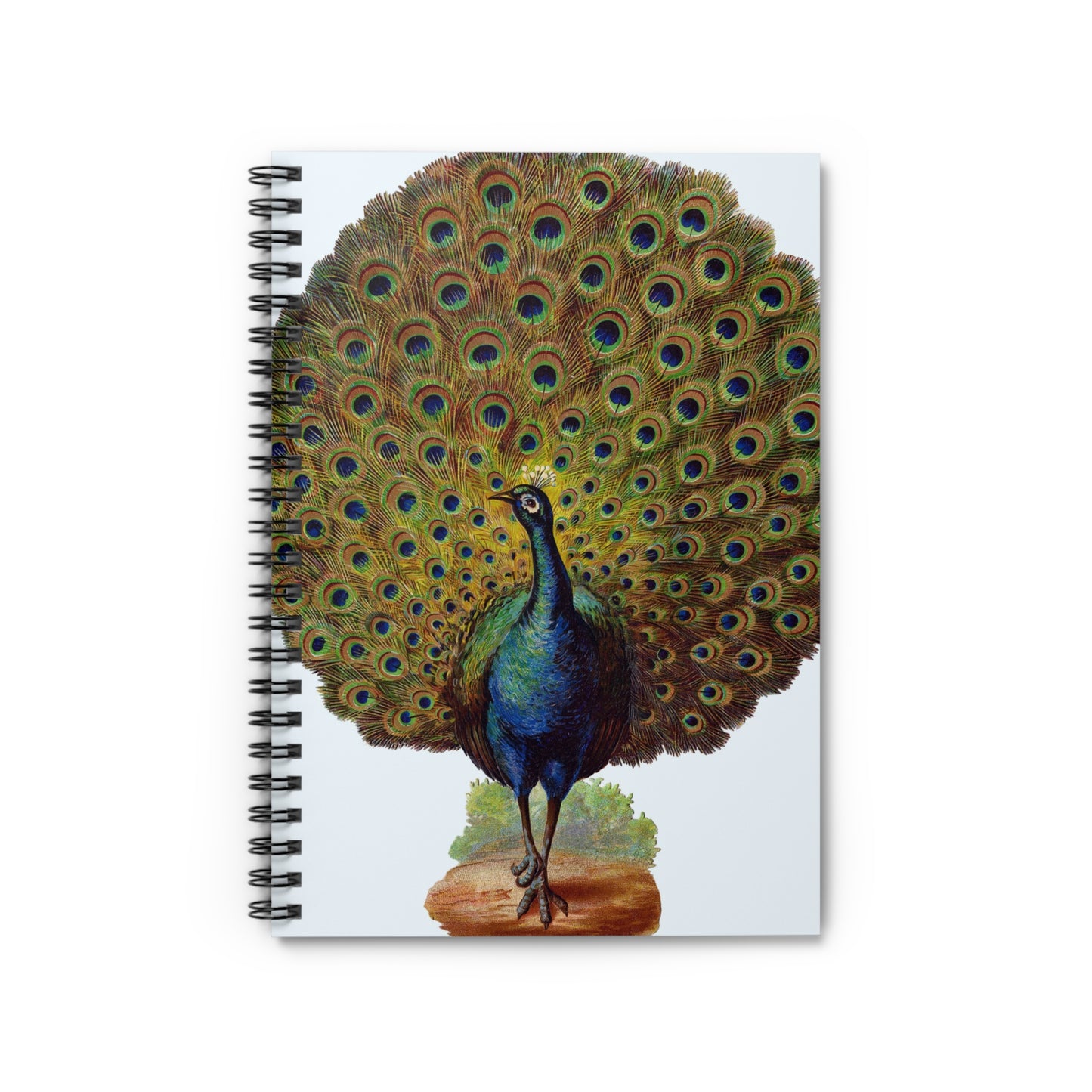 Spiral Notebook - Peacock