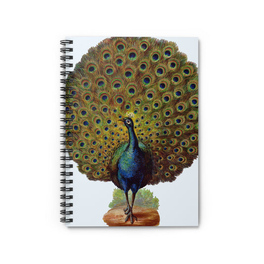 Spiral Notebook - Peacock