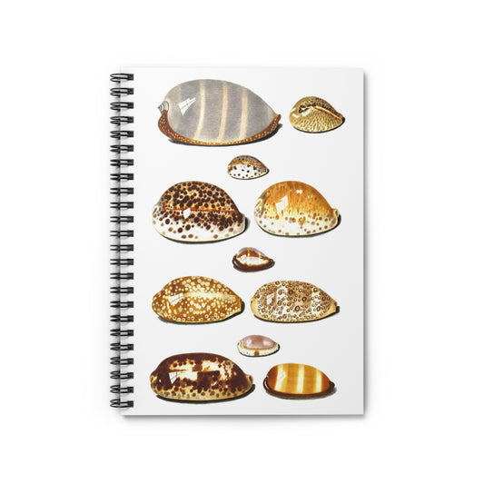 Spiral Notebook - Shells