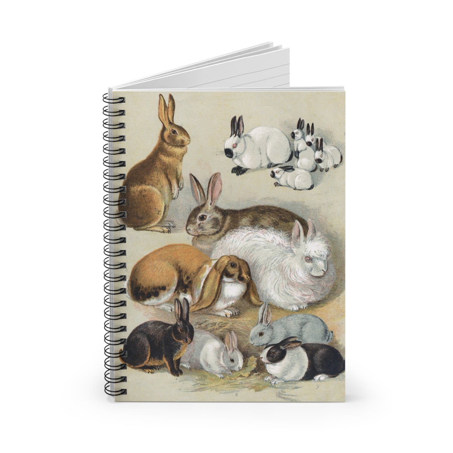 Spiral Notebook - Rabbits