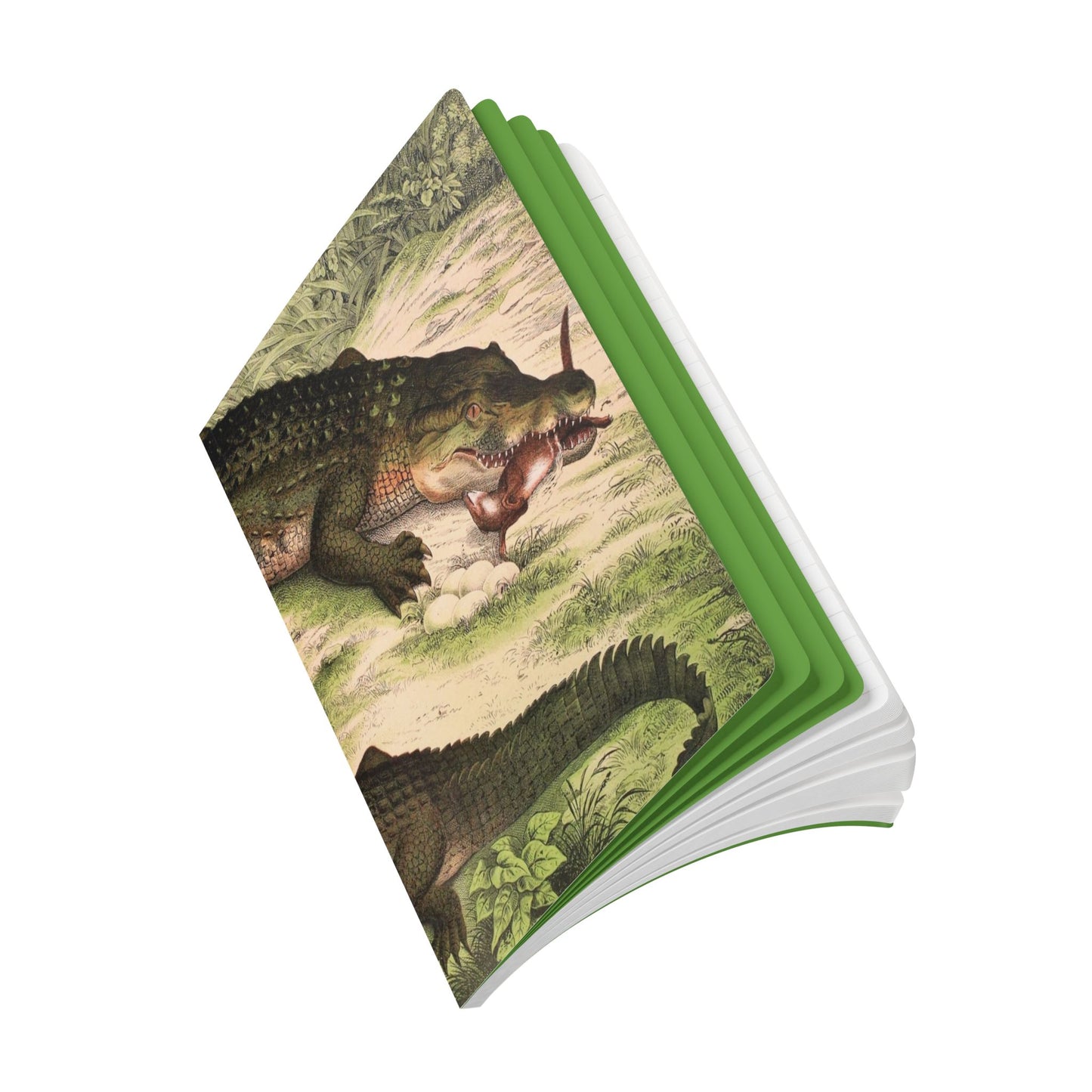 Softcover Journal - vintage alligator