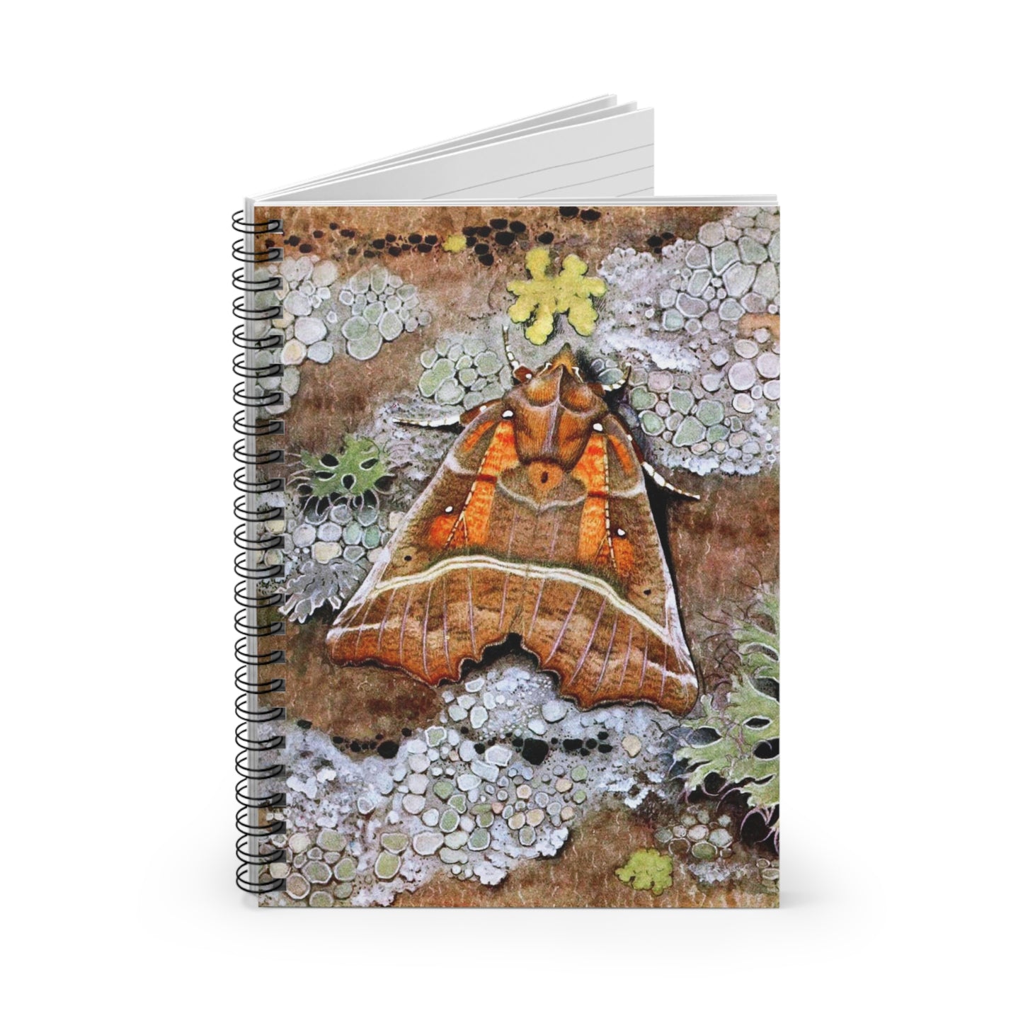 Spiral Notebook - Moth