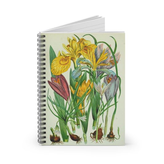 notebook journal story vintage design illustration painting journal journaling taking notes office organize
spring flowers bulbs iris crocus summer garden