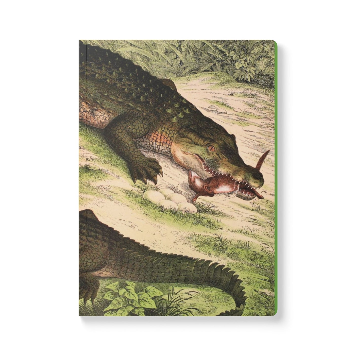 Softcover Journal - vintage alligator