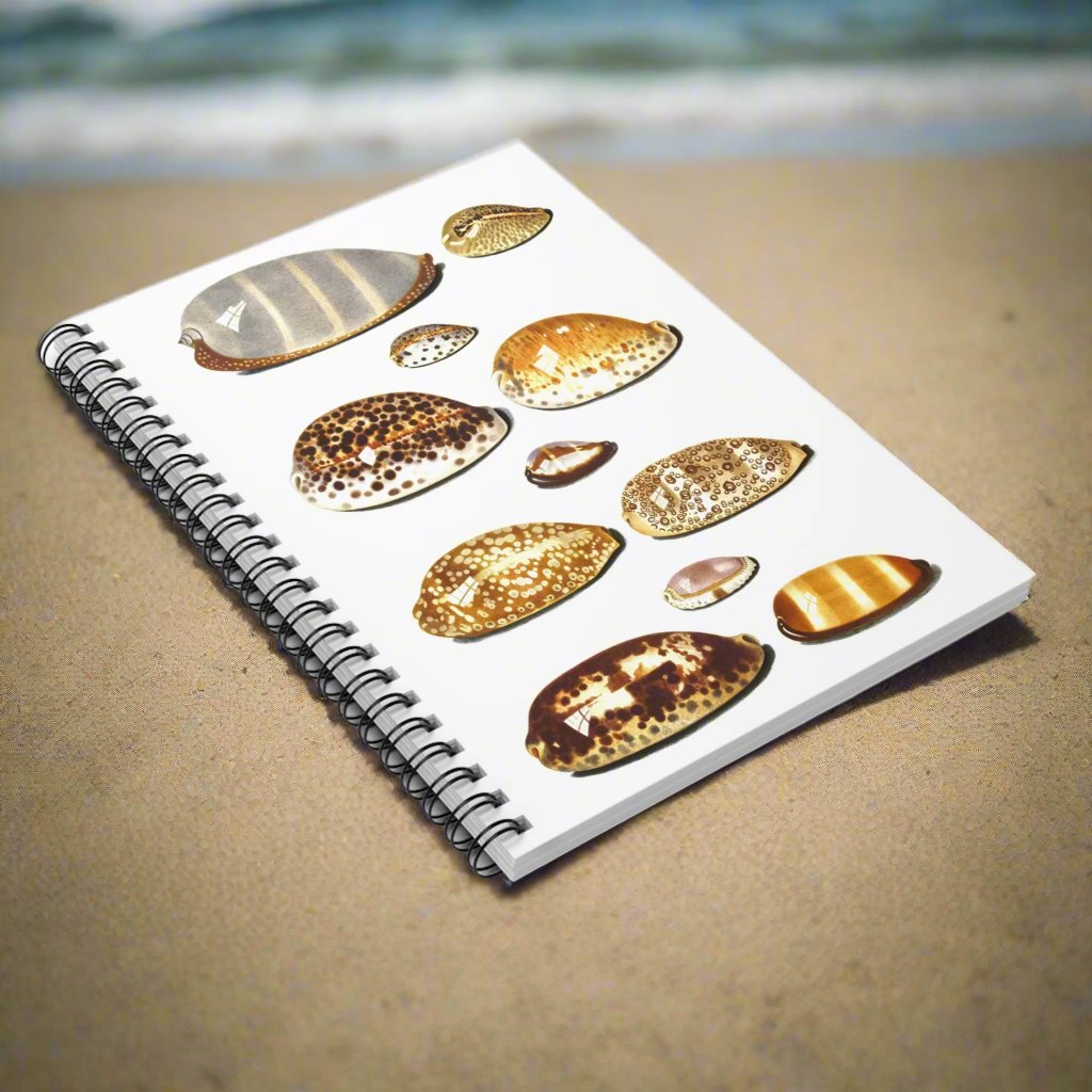 Spiral Notebook - Shells