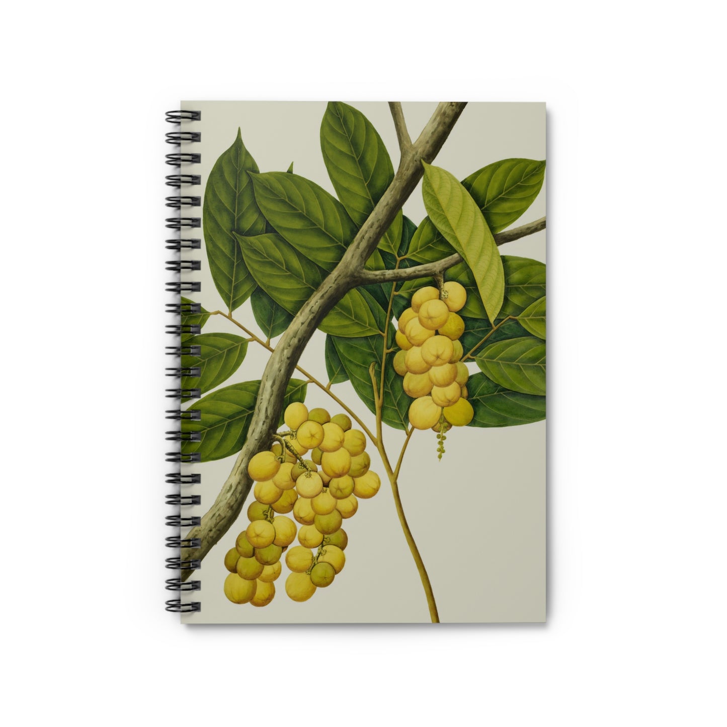 Spiral Notebook - Berries