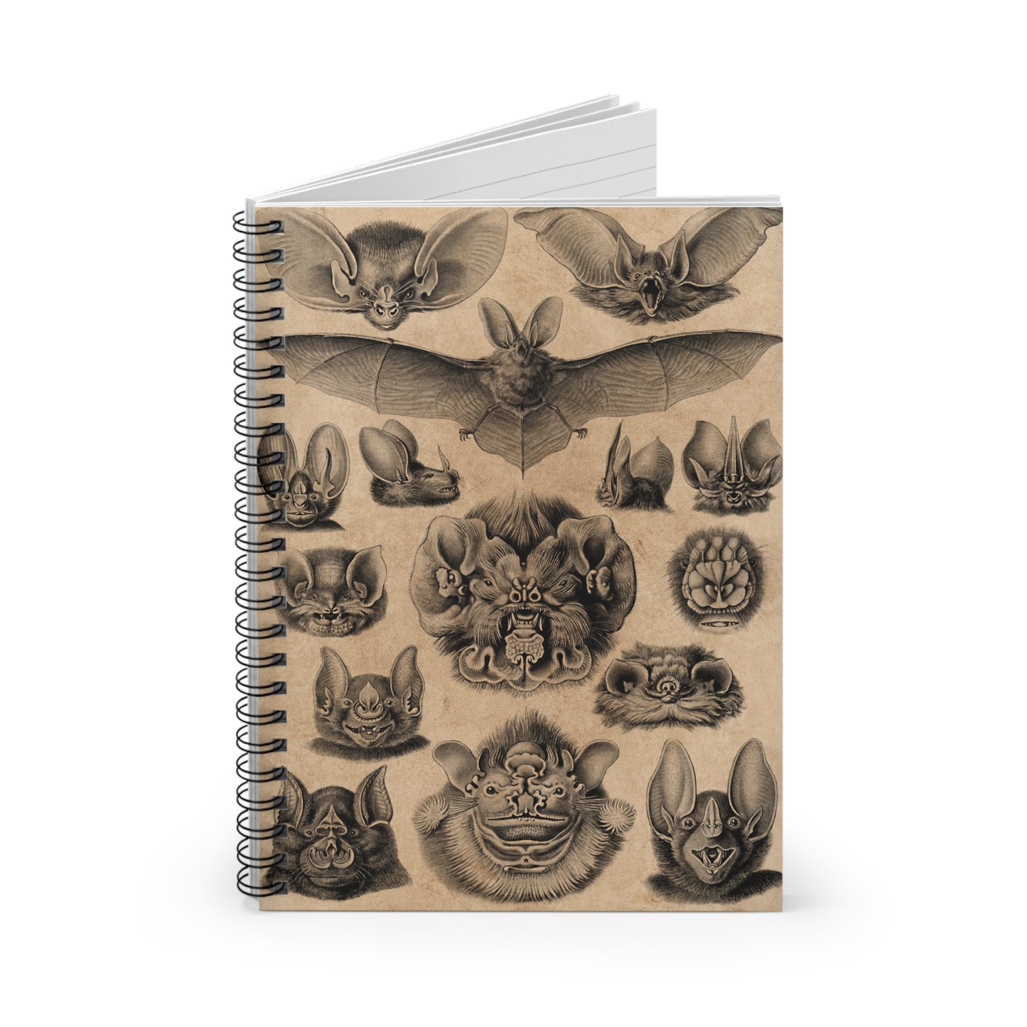 Spiral Notebook - Bat faces