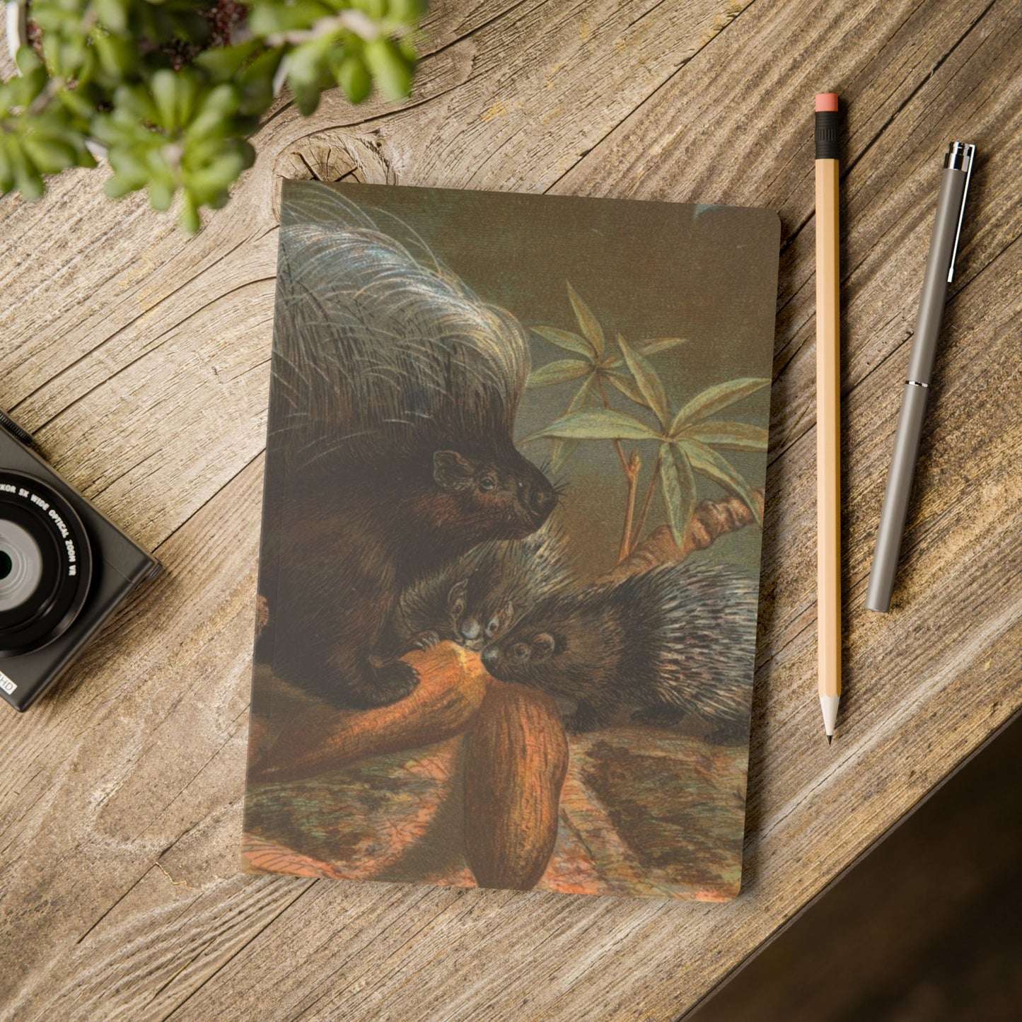 Softcover Journal - vintage porcupine