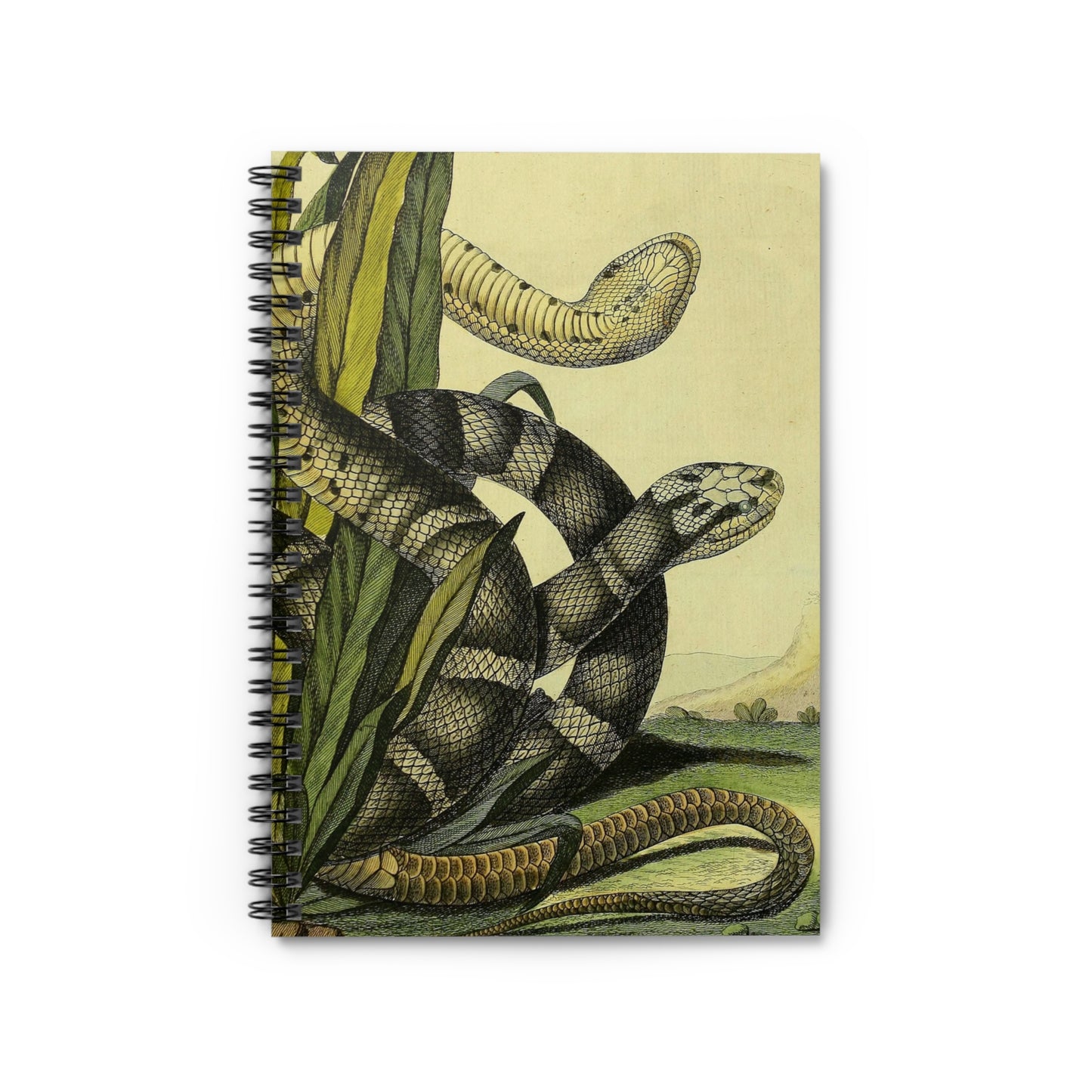 snake year of the snake chinese new year 2025 notebook journal spiral lined paper journaling note reptile vintage illustration 