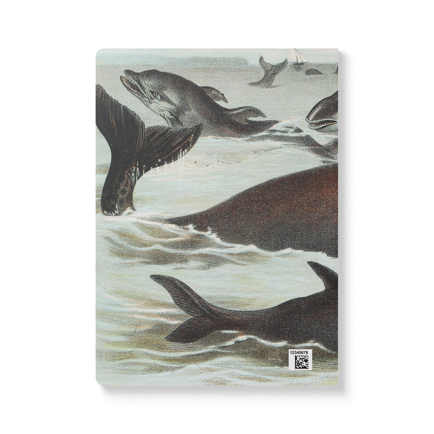 Softcover Journal - vintage whale